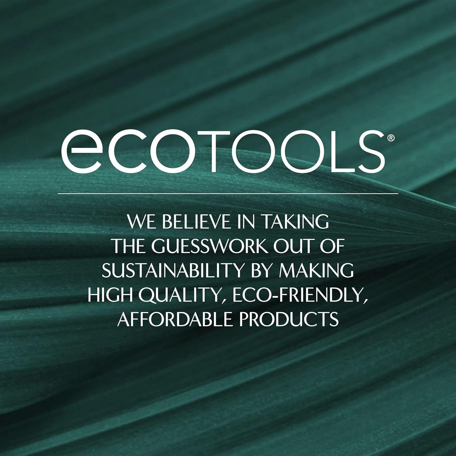 Eco-Friendly Daily Defined Brush Kit Vegan and Cruelty Free